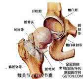 股骨头坏死发生有哪些原因